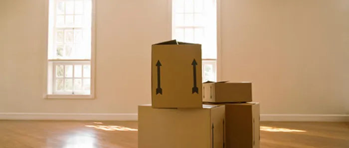 MOVE-IN / MOVE-OUT CLEANING